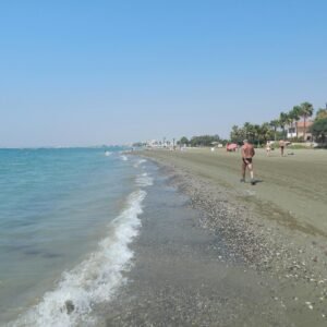 The Ordinary Niacinamide 10% + Zinc