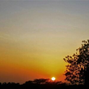 Lux Sabonete Líquido Floral